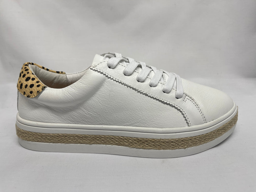 PRINCETON - WHITE