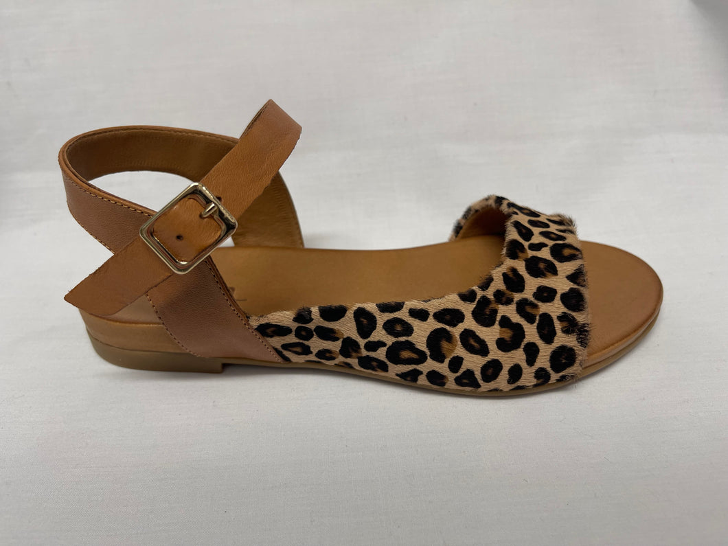AIKEN PONY - LEOPARD